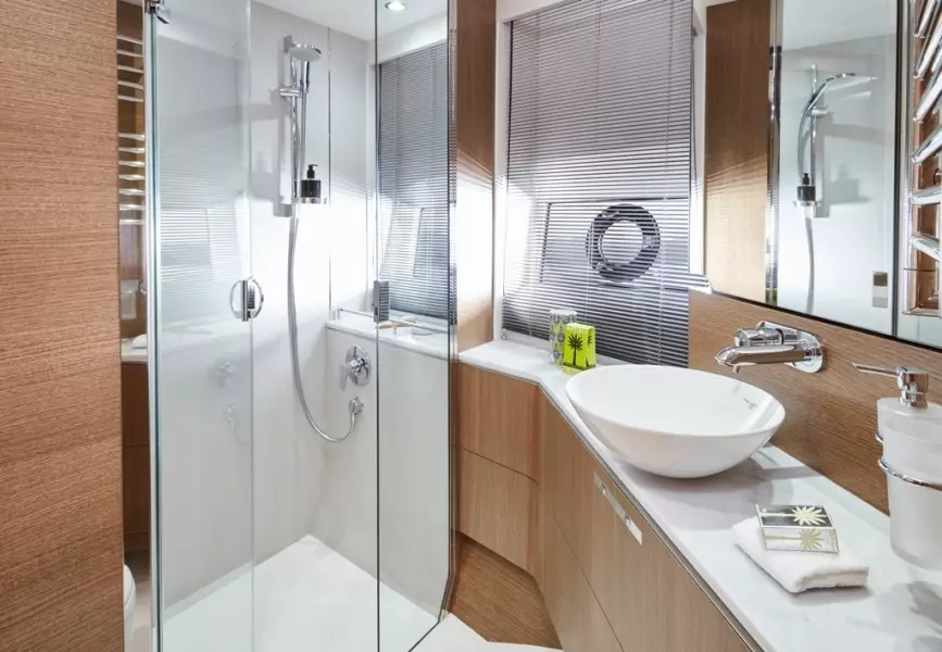 2026 Princess V65 Express