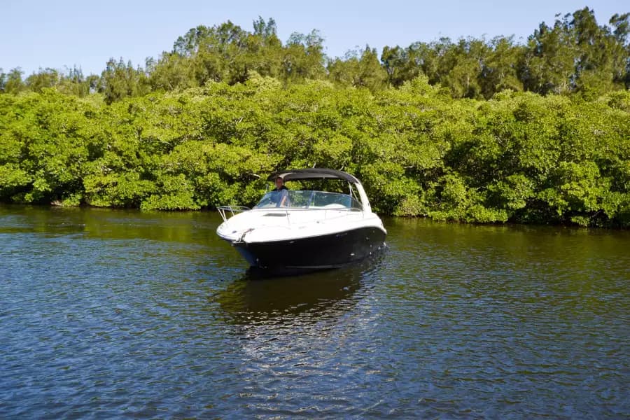 2004 Sea Ray 290 Sun Sport