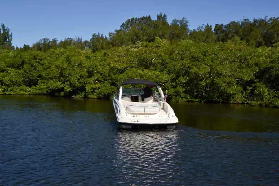 2004 Sea Ray 290 Sun Sport