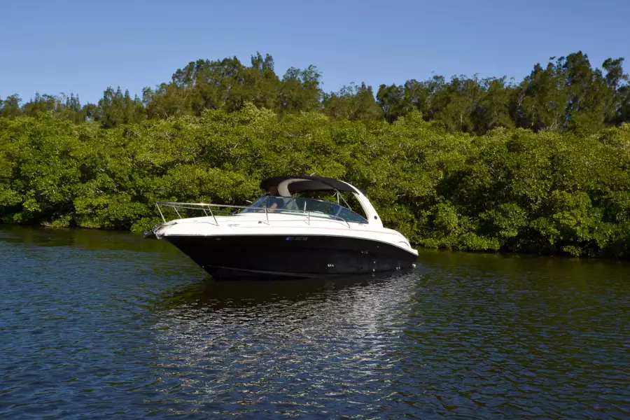 2004 Sea Ray 290 Sun Sport