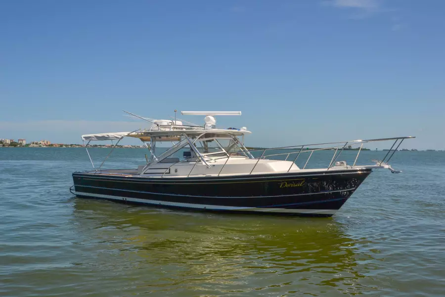 1995 Black Watch 36 Express