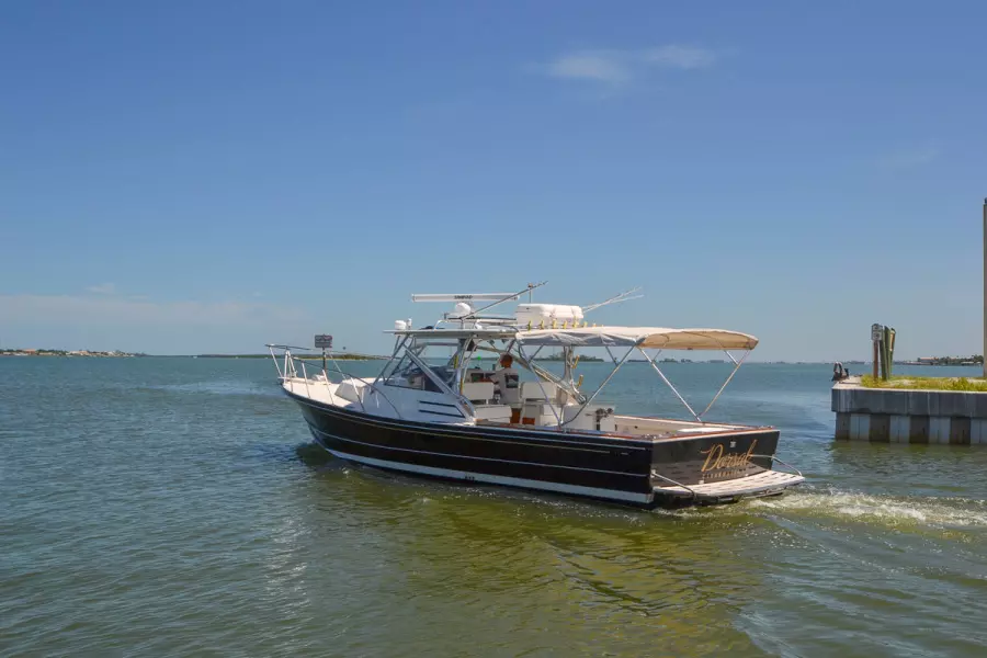 1995 Black Watch 36 Express