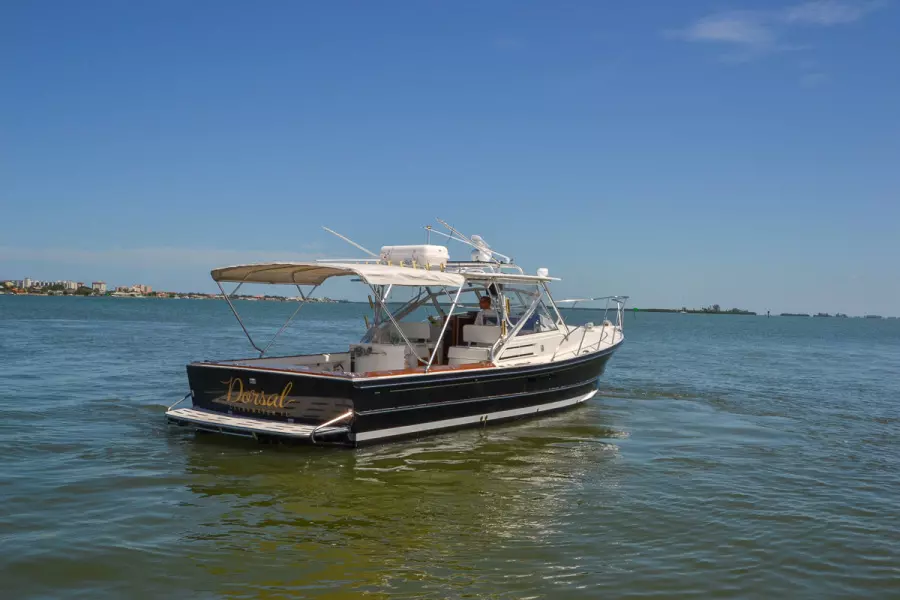 1995 Black Watch 36 Express