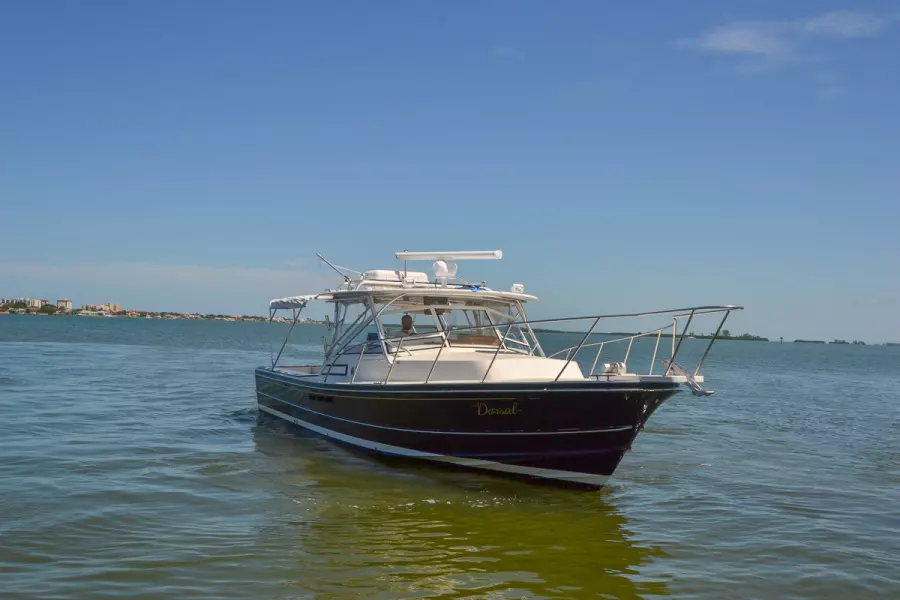 1995 Black Watch 36 Express