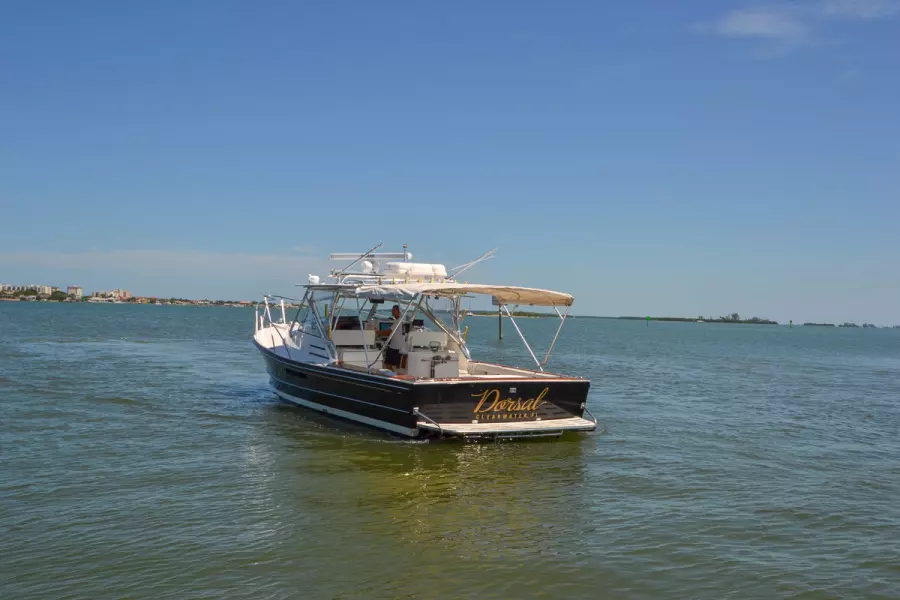 1995 Black Watch 36 Express