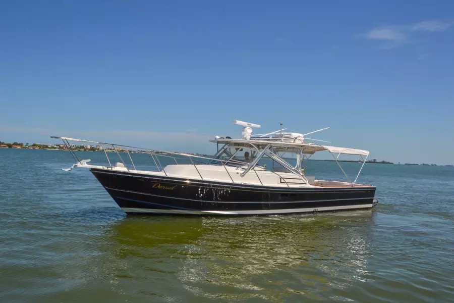 1995 Black Watch 36 Express