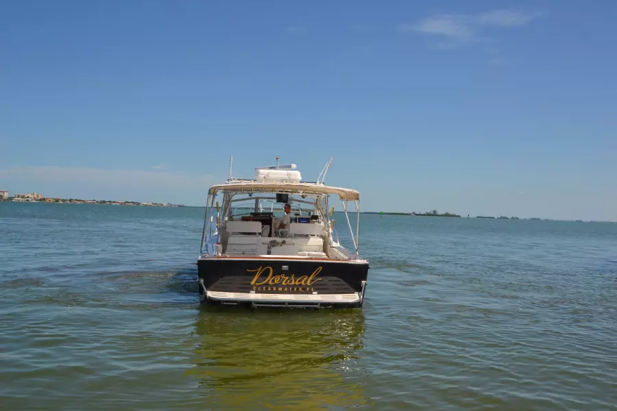 1995 Black Watch 36 Express