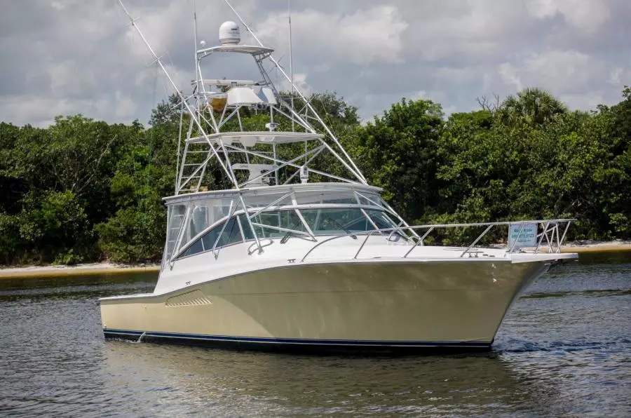 Viking 50 - Tiger Six - Exterior Profile