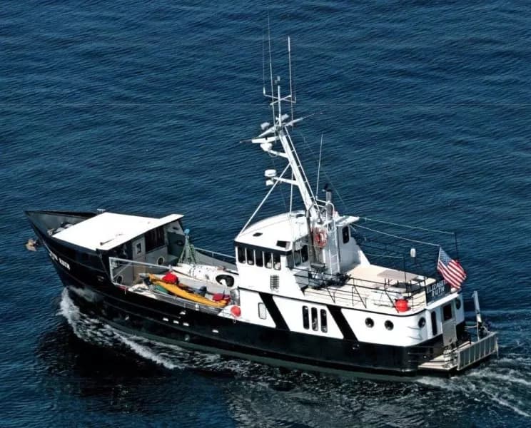 1991 Custom Robinson Modified Monk