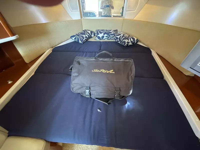 2008 Sea Ray 