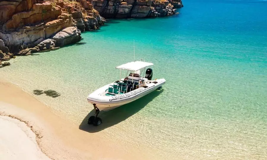 2022 Ocean Craft Marine Transport and Tour 9.5M