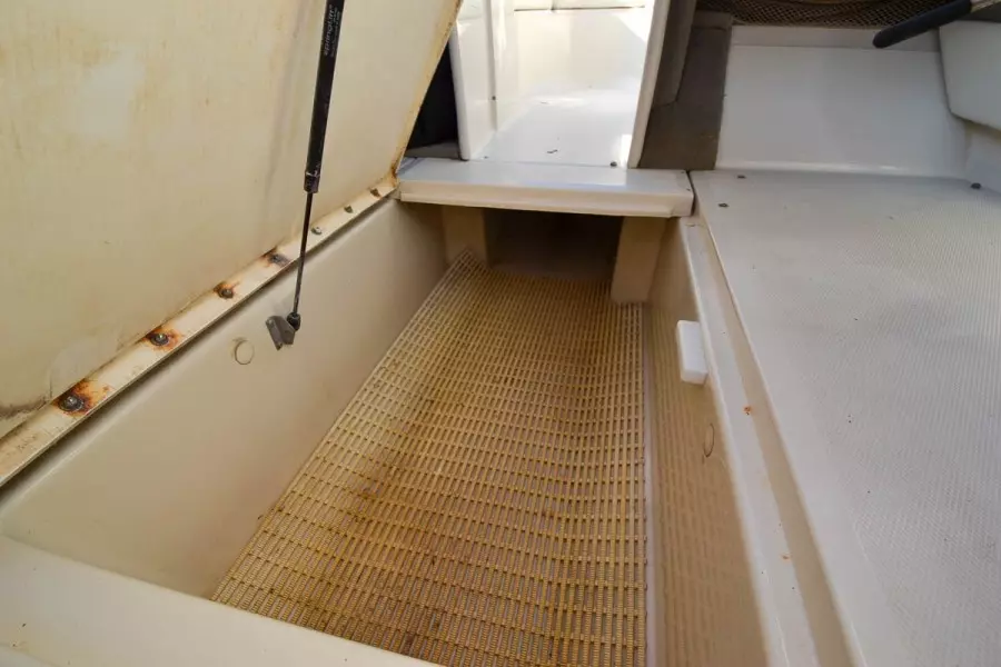 2007 Sea Ray 210 Select Tower