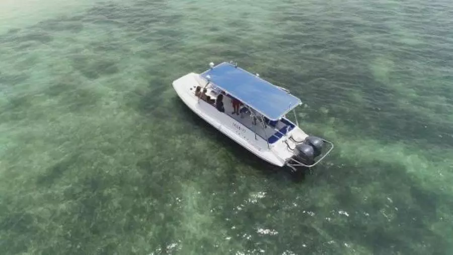 2022 Ocean Craft Marine Beachlander 8.75