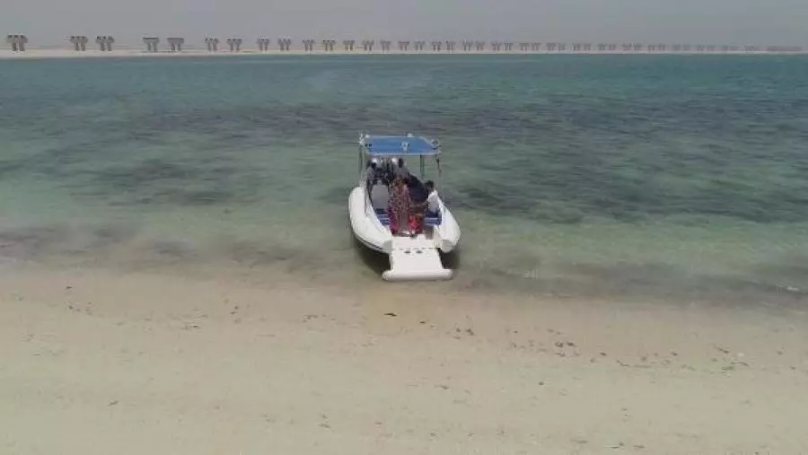 2022 Ocean Craft Marine Beachlander 8.75