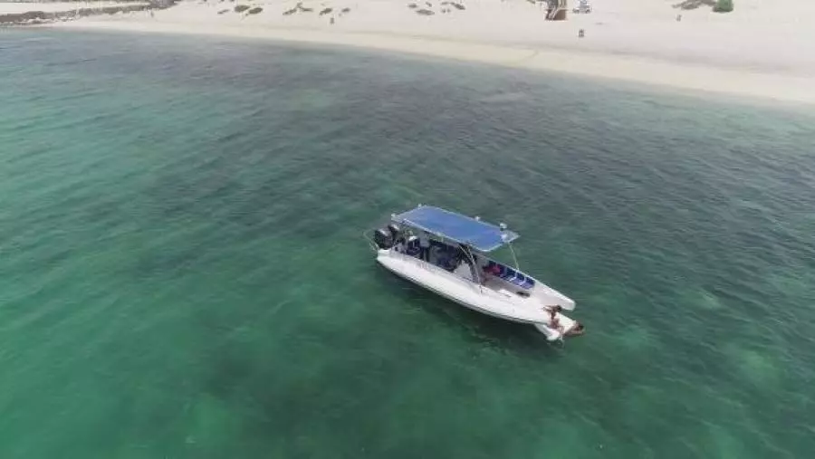 2022 Ocean Craft Marine Beachlander 8.75