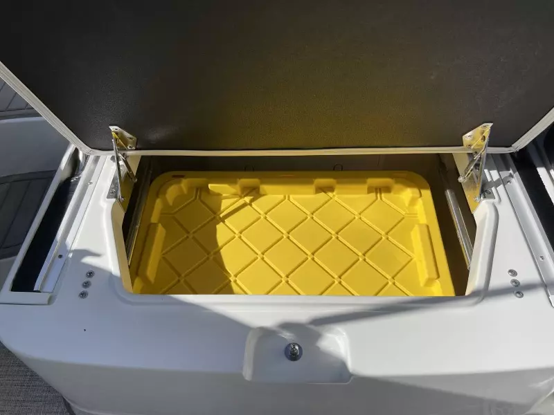 2021 Crownline 255 XSS