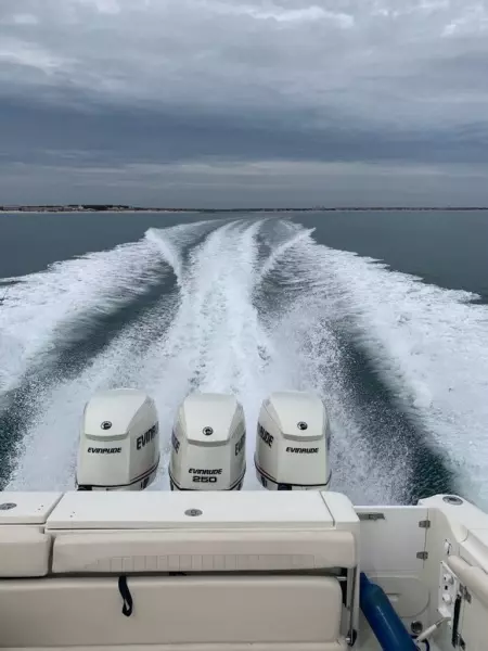 2007 Hydra-Sports 3300 VX