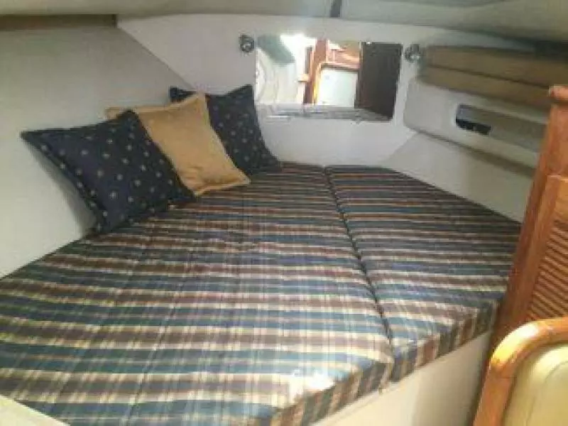 30' Pursuit stateroom1