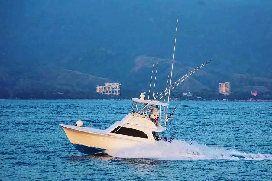 1984 Sunny Briggs Custom Carolina