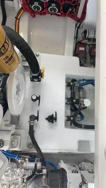 1984 Sunny Briggs Custom Carolina