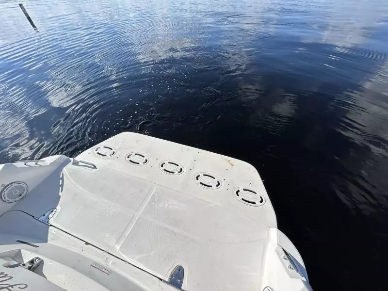 2009 Sea Ray 310 Sundancer  Andrews Place Head Swim Platform