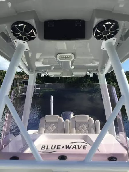 2019 Blue Wave Pure Hybrid