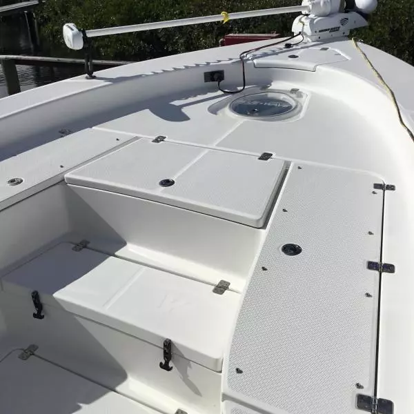 2019 Blue Wave Pure Hybrid