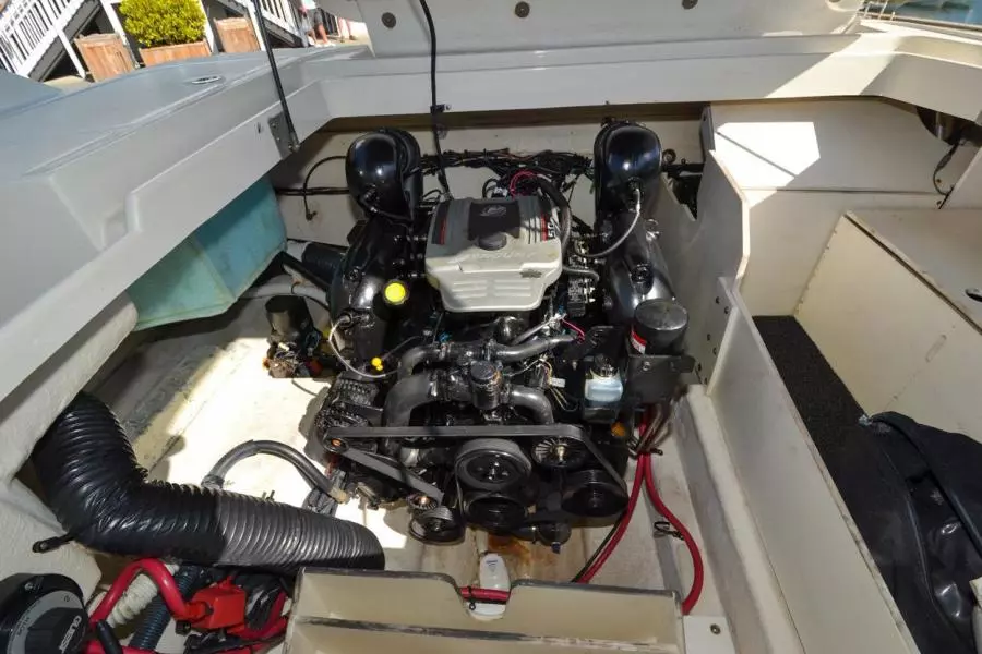 2010 Sea Ray 260 Sundeck