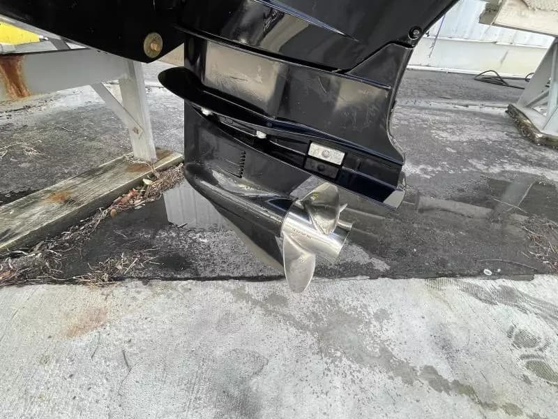 2020 Bayliner F21 Element