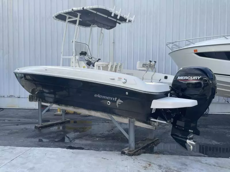 2020 Bayliner F21 Element