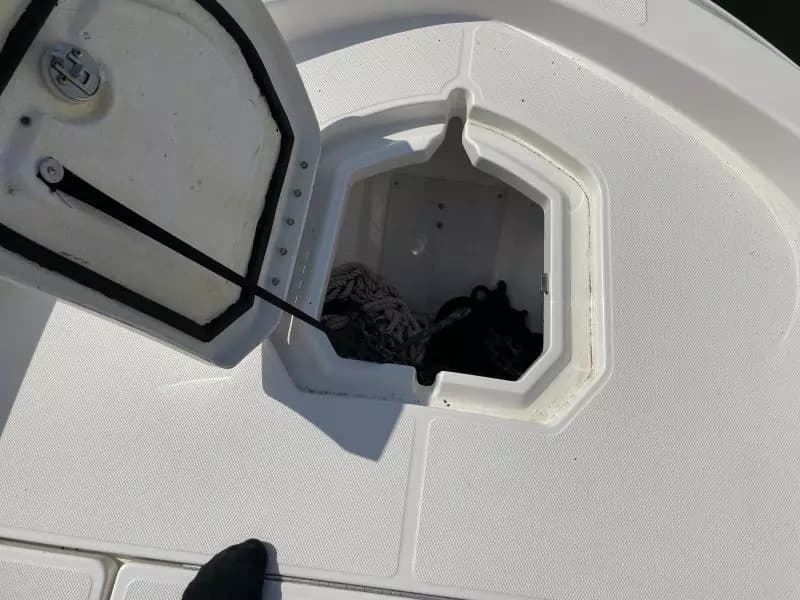 2020 Bayliner F21 Element