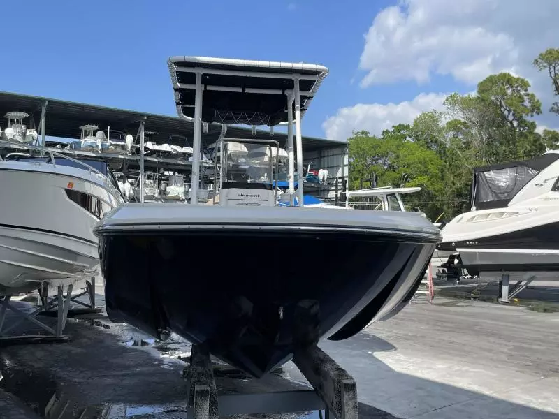 2020 Bayliner F21 Element