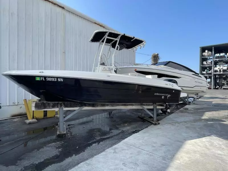 2020 Bayliner F21 Element