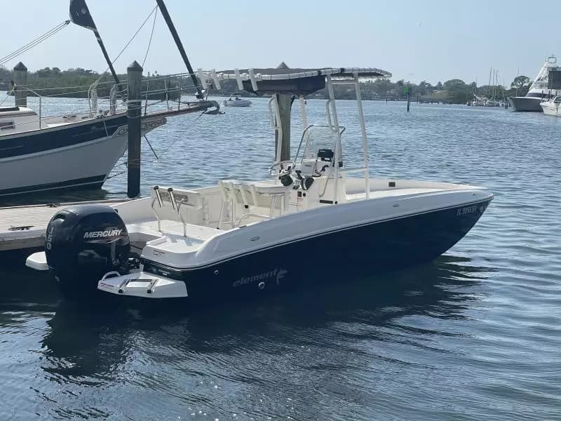 2020 Bayliner F21 Element