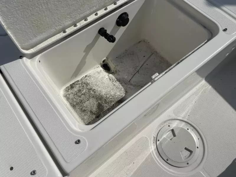 2020 Bayliner F21 Element