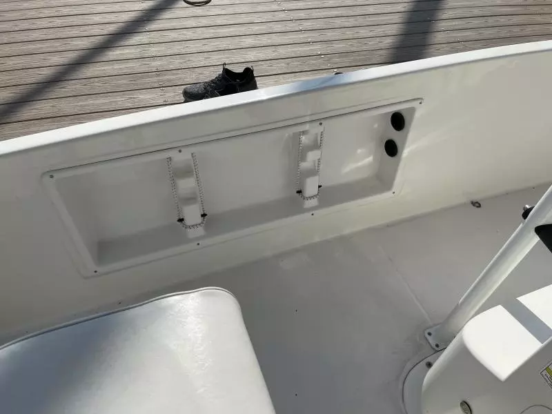 2020 Bayliner F21 Element