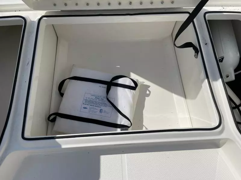 2020 Bayliner F21 Element