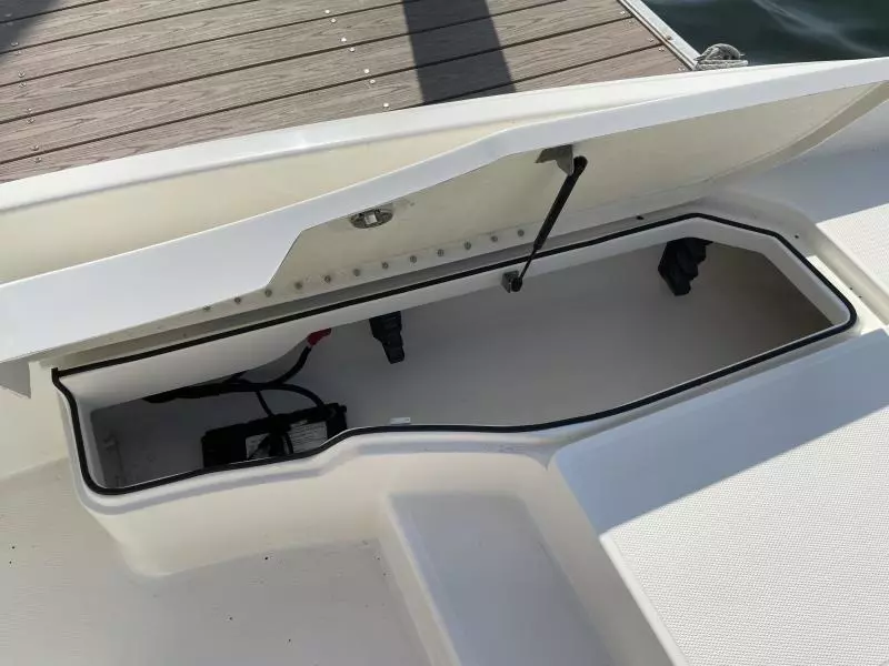 2020 Bayliner F21 Element