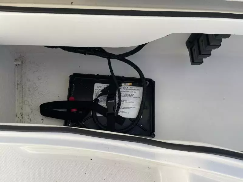 2020 Bayliner F21 Element