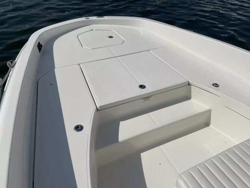 2020 Bayliner F21 Element