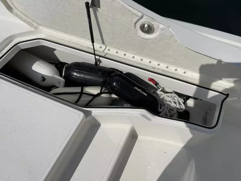 2020 Bayliner F21 Element