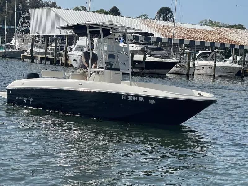 2020 Bayliner F21 Element