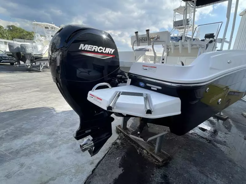 2020 Bayliner F21 Element
