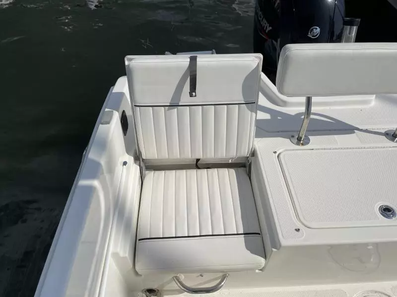 2020 Bayliner F21 Element