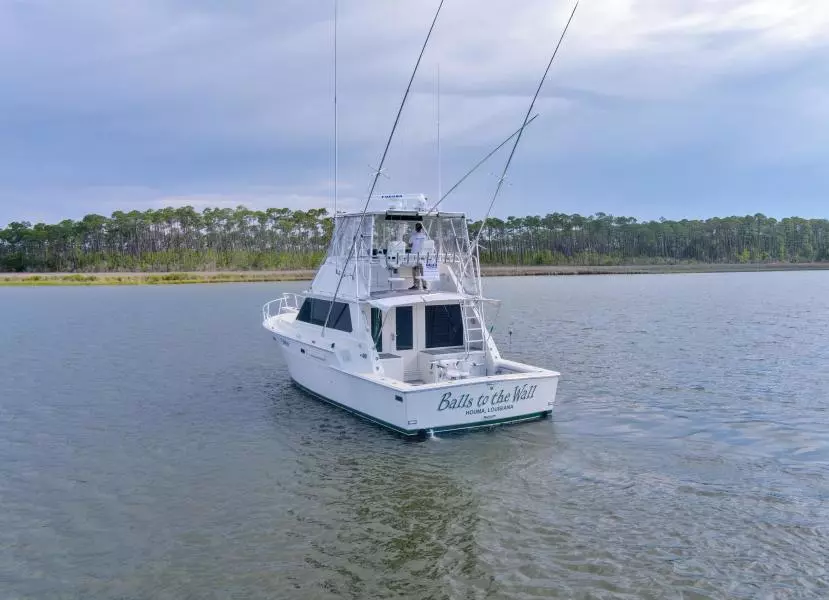 1981 Bertram 42 Convertible Balls To The Wall Transom