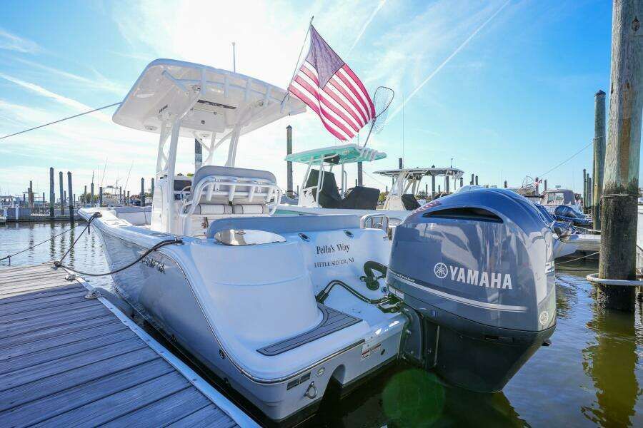 2019 Sea Fox 249 Avenger