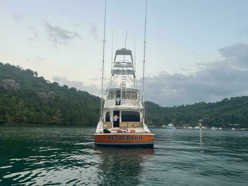 2008 77 Enclosed Bridge "Desperado"-Aft View