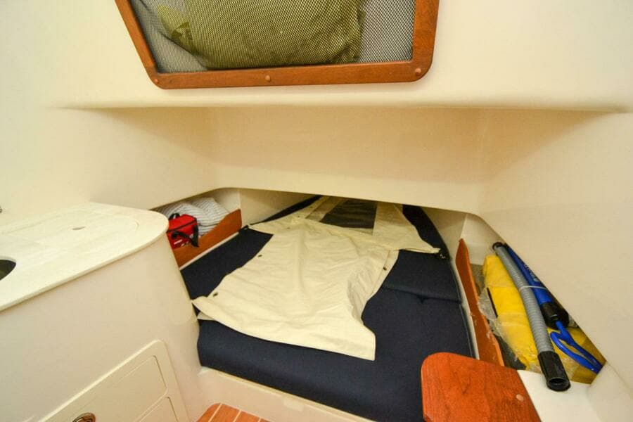 2023 Grady White 336 45