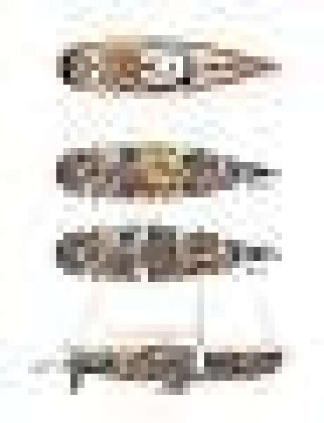 2011 Alia Yachts Warwick 82 LK