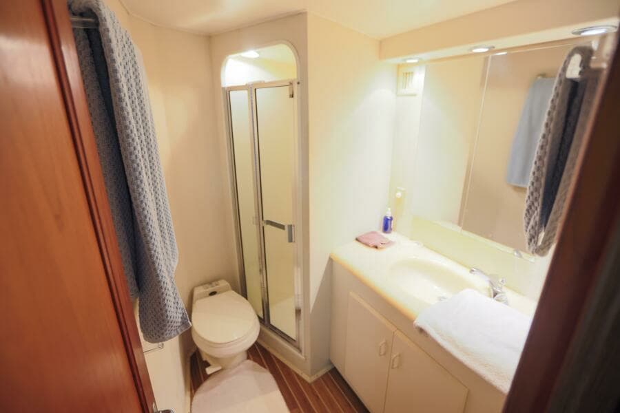 1992 Viking Convertible